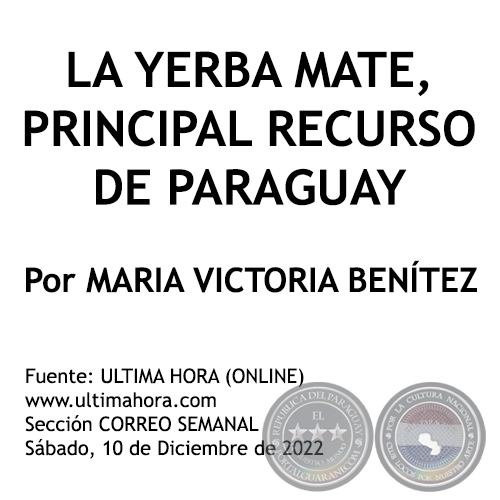 LA YERBA MATE, PRINCIPAL RECURSO DE PARAGUAY - Por MARIA VICTORIA BENÍTEZ MARTÍNEZ - Sábado, 10 de Diciembre de 2022